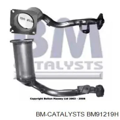 BM91219H BM Catalysts Konwerter-katalizator