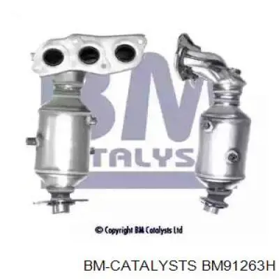 BM91263H BM Catalysts Konwerter-katalizator