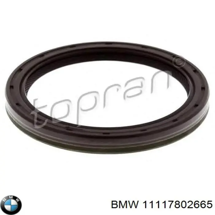 Do koszyka 11117802665 BMW Uszczelniacz wału korbowego przedni