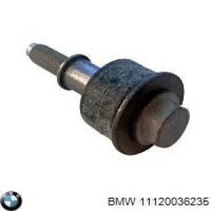 Śruba pokrywy zaworów głowicy cylindrów BMW 11120036235 cena, od 308,08 USD
