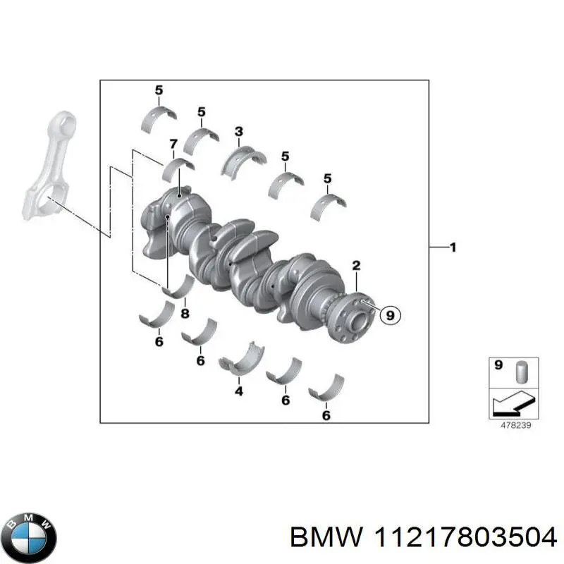 11217803504 BMW Panewki główne wału korbowego, zestaw, 2. naprawa (+0,50)