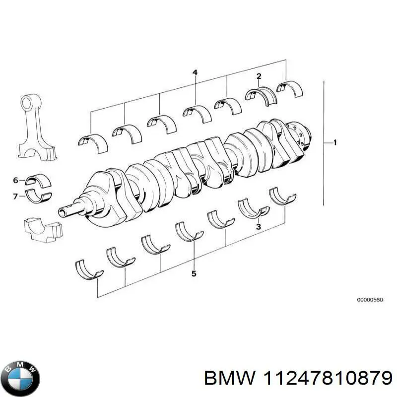 Do koszyka Panewki korbowodowe wału korbowego, zestaw, 1. naprawa (+0,25) BMW 5  E28