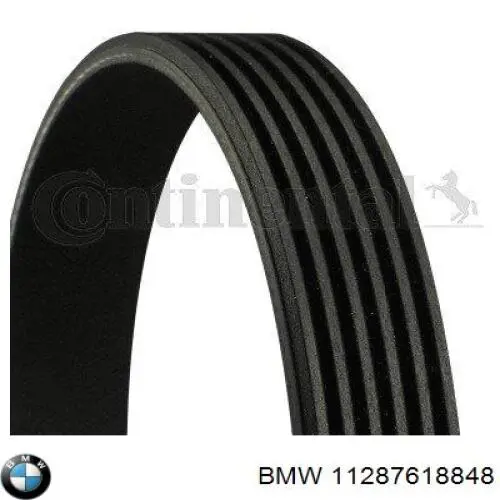 Pas napędowy mechanizmów BMW 11287618848 cena, od 14,39 USD