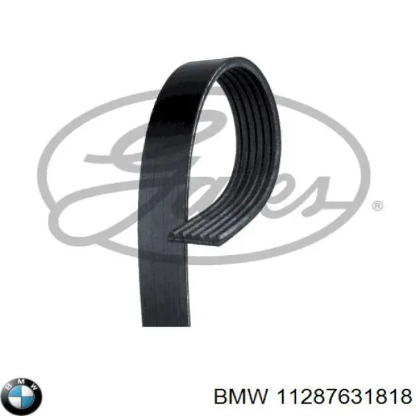 Pas napędowy mechanizmów BMW 11287631818 cena, od 17,06 USD