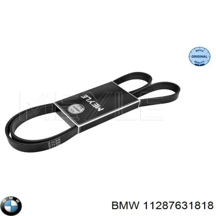 Do koszyka 11287631818 BMW Pas napędowy mechanizmów