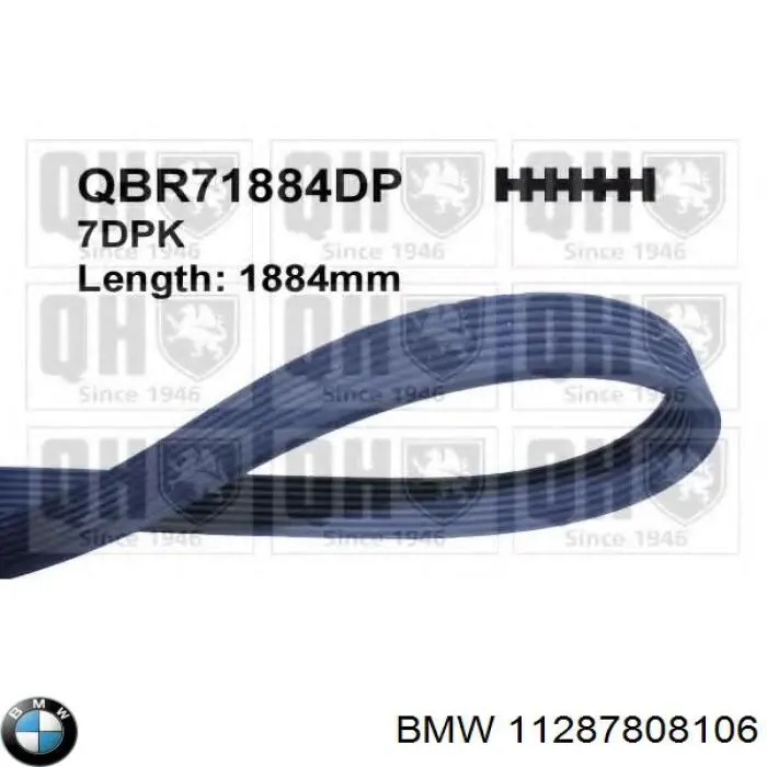 11287808106 BMW Pas napędowy mechanizmów