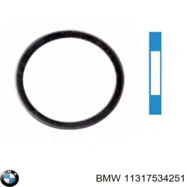 11317534251 BMW Uszczelka napinacza łańcucha rozrządu