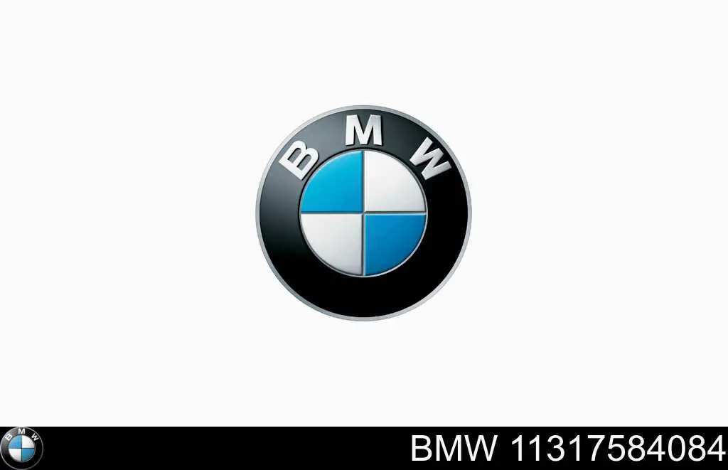 Do koszyka 11317584084 BMW Łańcuch rozrządu