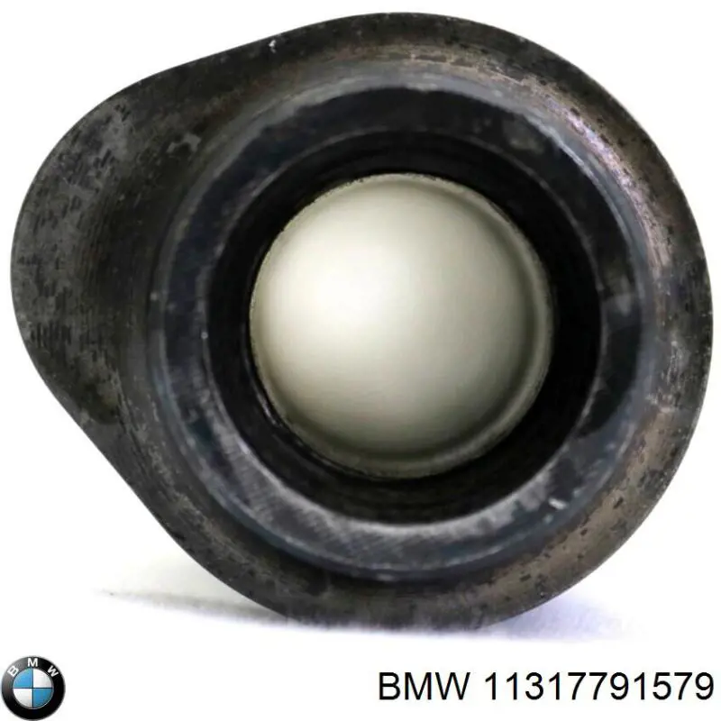 Wał rozrządu silnika ssący, dolotowy BMW 11317791579 cena, od 286,32 USD