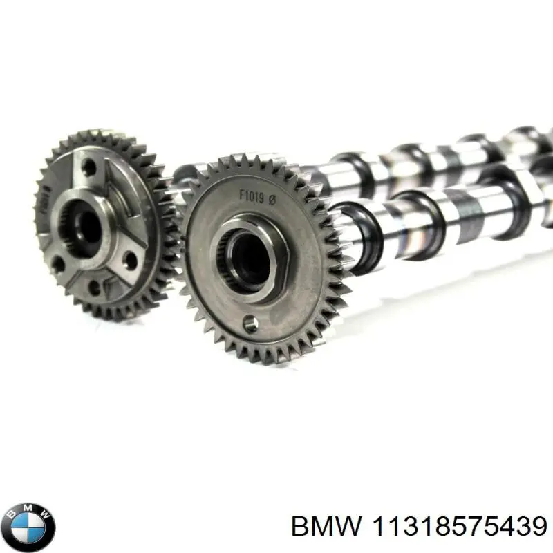 11318575439 BMW Wał rozrządu silnika ssący, dolotowy