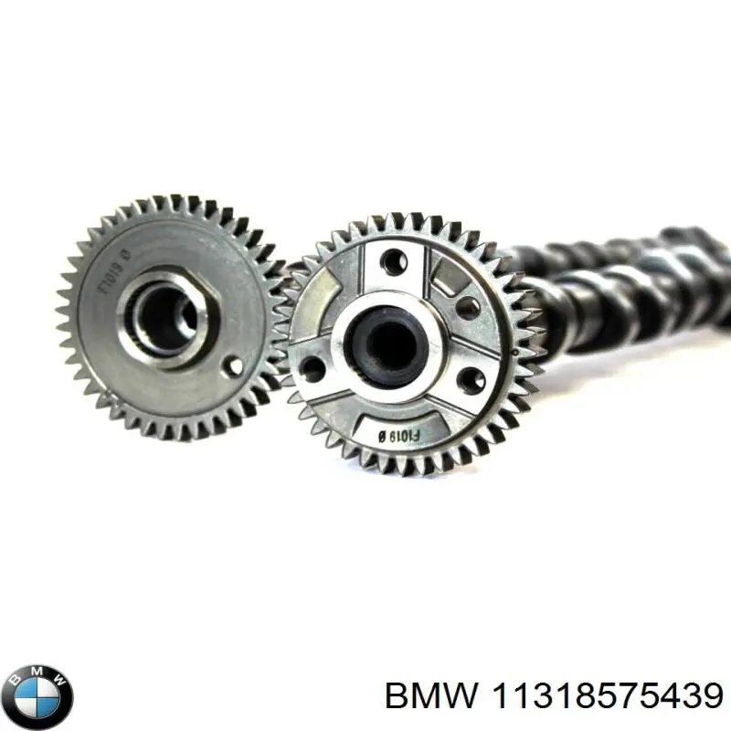 Wał rozrządu silnika ssący, dolotowy BMW 11318575439 cena, od 378,30 USD