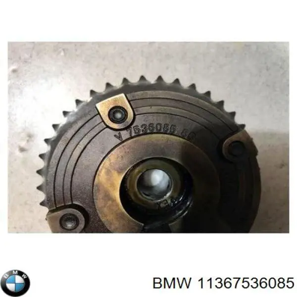 Koło zębate walcowe wałka rozrządu wydechowego BMW 11367536085 cena, od 137,25 USD