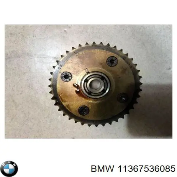 Do koszyka 7536085 BMW Koło zębate walcowe wałka rozrządu wydechowego