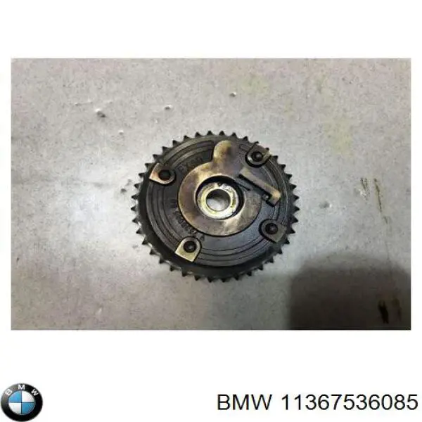 Do koszyka 11367536085 BMW Koło zębate walcowe wałka rozrządu wydechowego