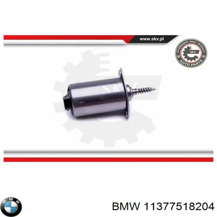 Do koszyka B1350101 Bogap Regulator faz rozrządu