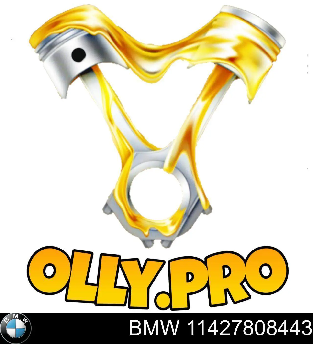 11427808443 BMW Filtr oleju