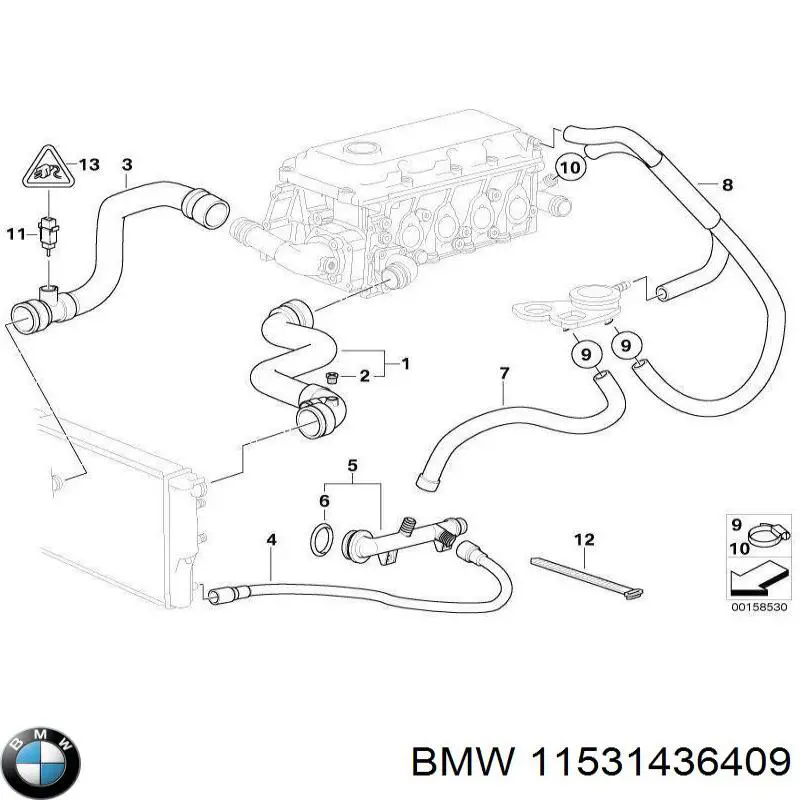 Przewód (króciec) chłodnicy dolny BMW 11531436409 cena, od 20,97 USD