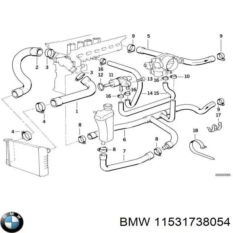 Do koszyka 11531738054 BMW Przewód (króciec) chłodnicy dolny