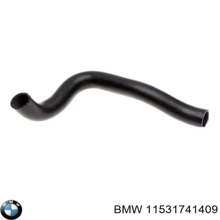 Do koszyka 11531741409 BMW Przewód (króciec) chłodnicy dolny