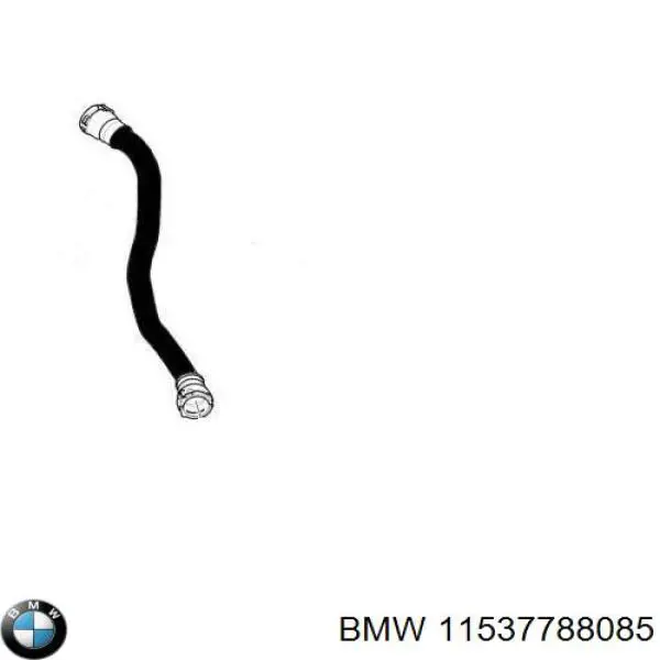 Przewód (króciec) chłodnicy dolny BMW 11537788085 cena, od 64,58 USD