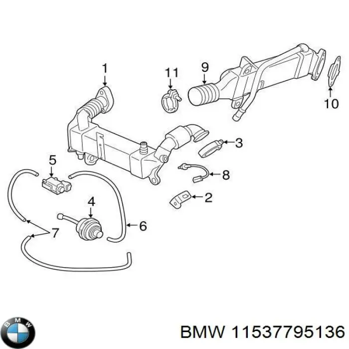 11537795136 BMW Wąż (przewód) chłodnicy EGR, doprowadzenie