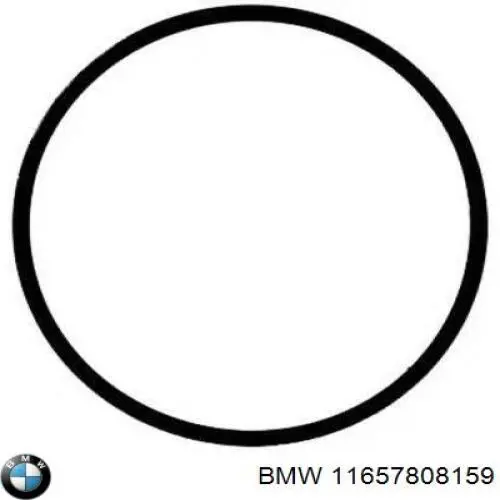 Do koszyka 11657808159 BMW Uszczelka turbiny spalin, wlot