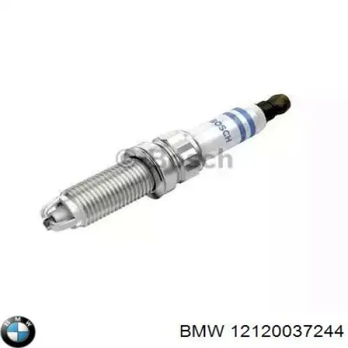12120037244 BMW Świeca zapłonowa
