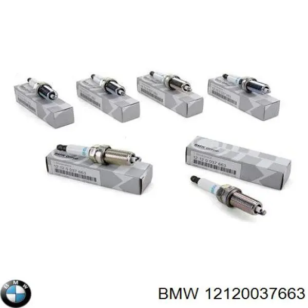 Do koszyka 12120037663 BMW Świeca zapłonowa