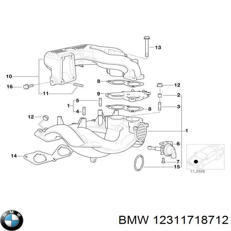 Do koszyka 12311718712 BMW Uszczelka smoka olejowego
