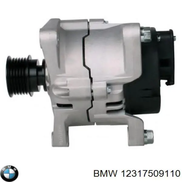 Do koszyka 12317509110 BMW Alternator