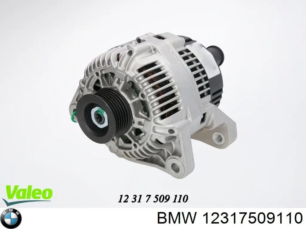 14354251 BMW alternator