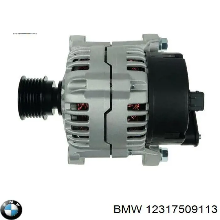 12317509113 BMW alternator