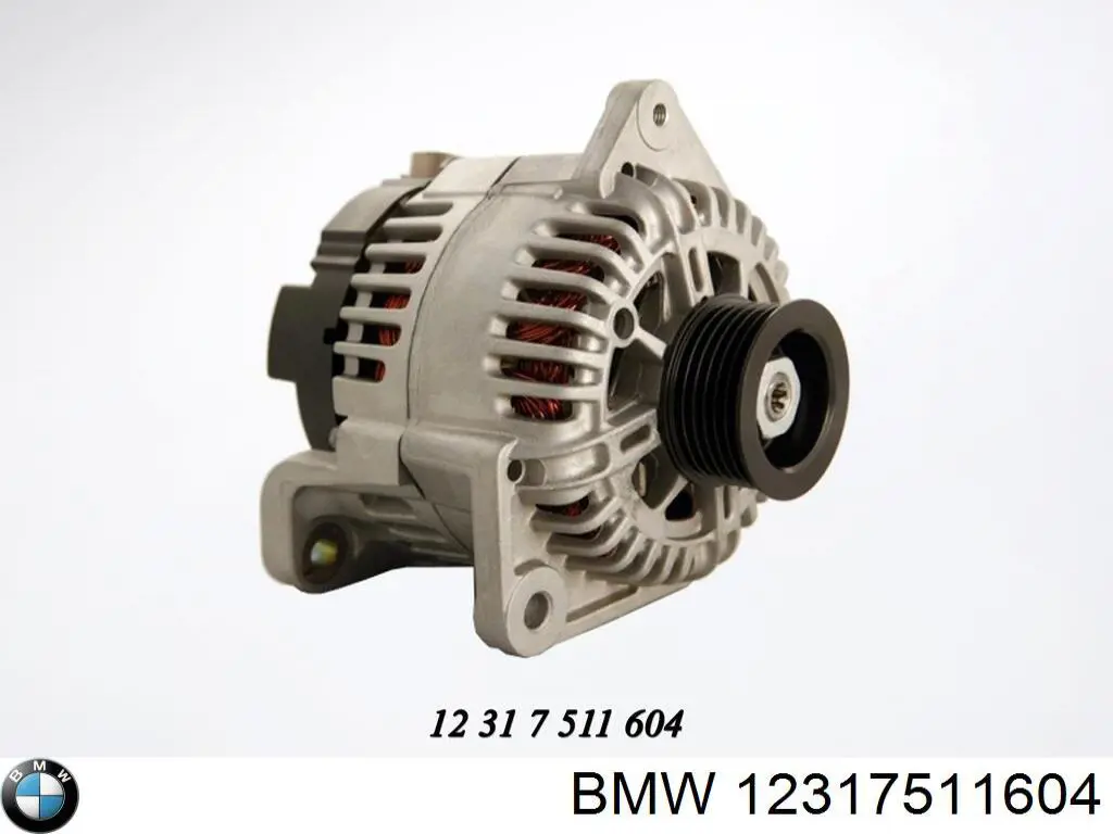 12317511604 BMW alternator