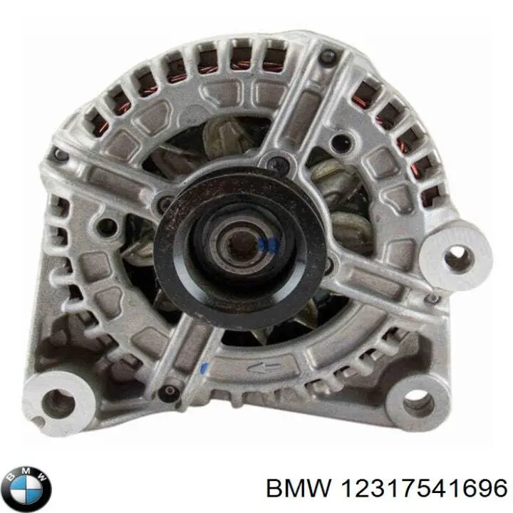 Do koszyka 12317541696 BMW Alternator