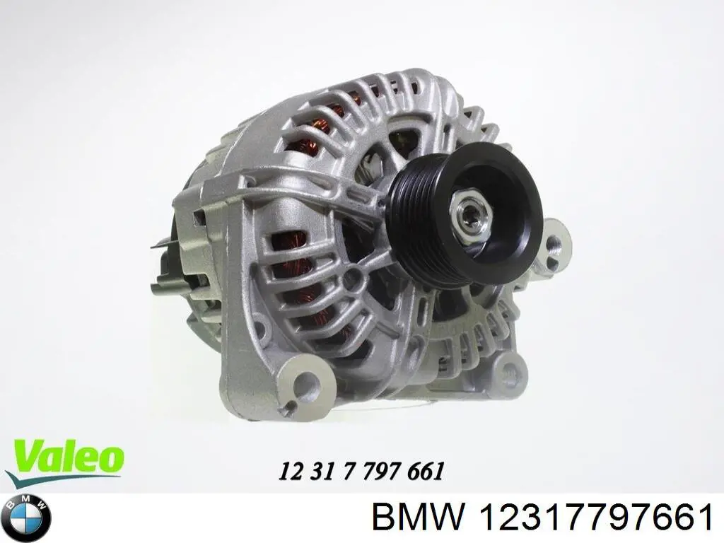Do koszyka 12317797661 BMW Alternator