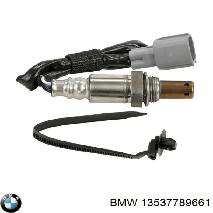 13537789661 BMW Wtryskiwacz paliwa