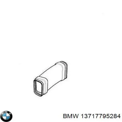 Króciec powietrza, wlot filtra powietrznego BMW 13717795284 cena, od 50,06 USD