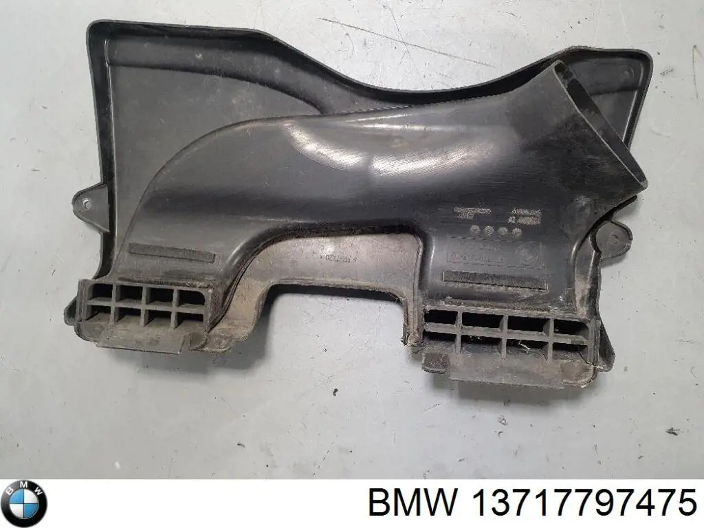 13717797475 BMW Pokrywa silnika dekoracyjna