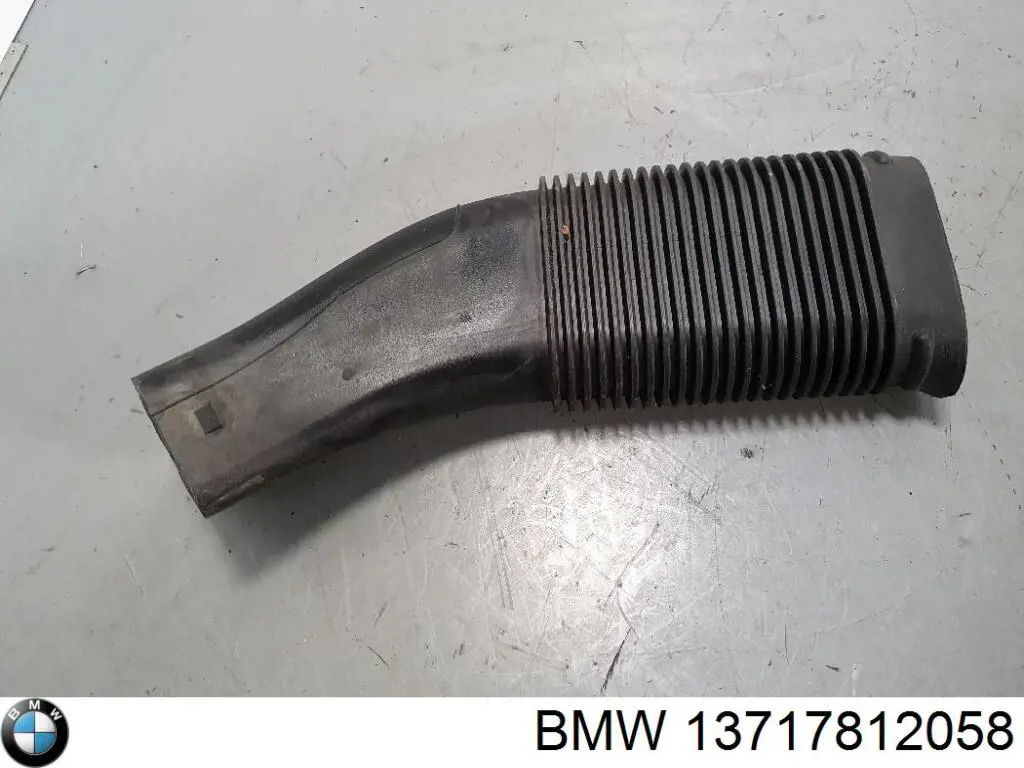 Wlot powietrza do filtra powietrza BMW X5 SUV (E70) (2007 - 2013) cena, od 25,10 USD
