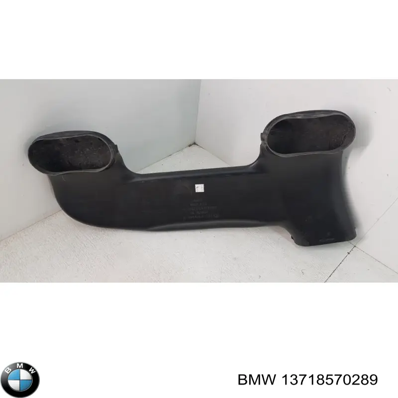 Wlot powietrza do filtra powietrza BMW X5 SUV (F15, F85) (2013 - 2018) cena, od 47,06 USD