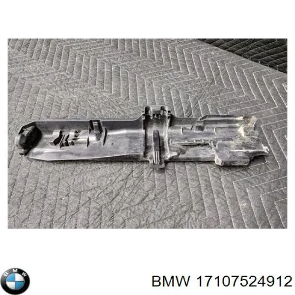 Do koszyka 17107524912 BMW Wspornik chłodnicy lewy