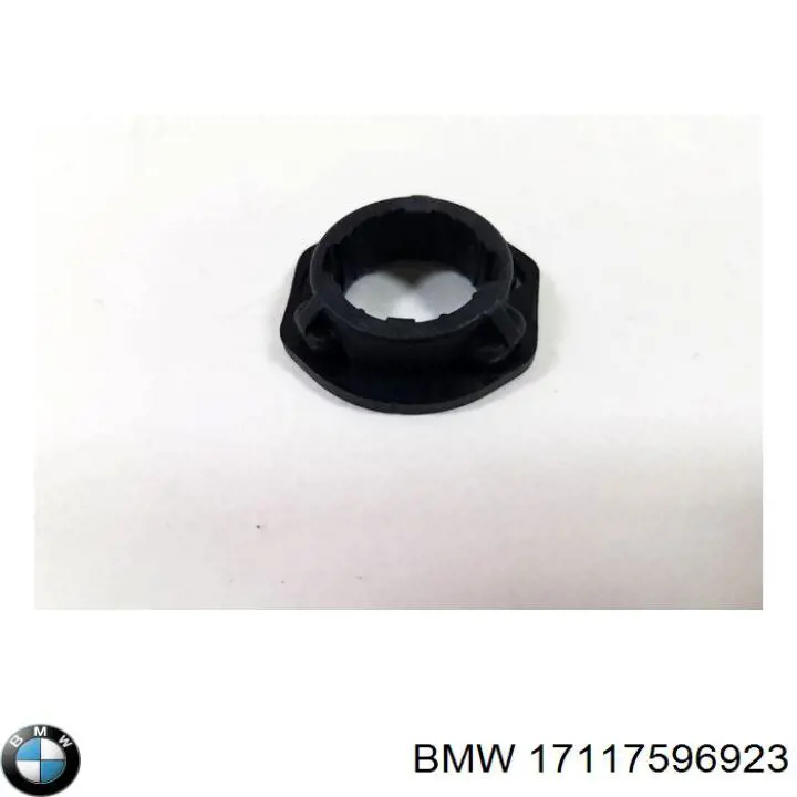 17117596923 BMW 