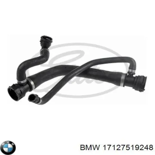 Do koszyka 17127519248 BMW Przewód (króciec) chłodnicy górny