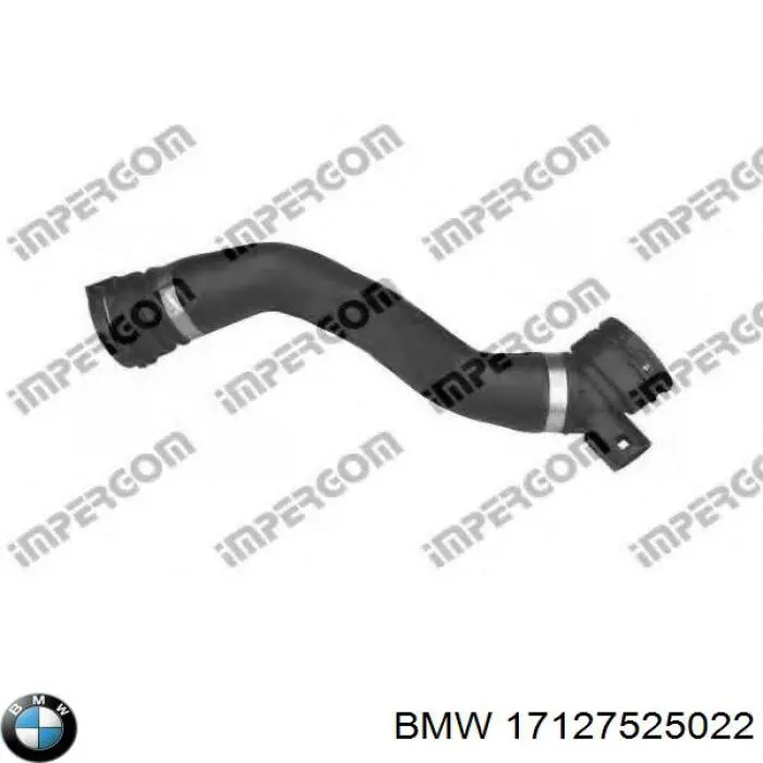 Przewód (króciec) chłodnicy dolny BMW 17127525022 cena, od 33,72 USD