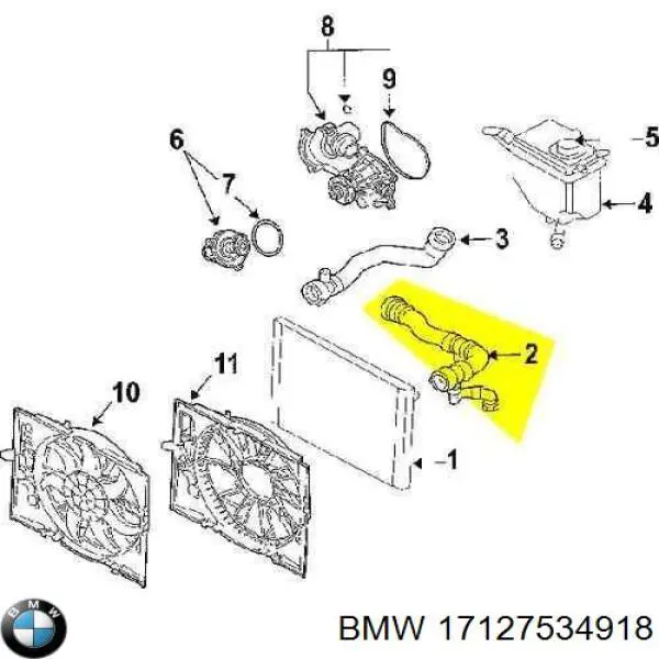 Przewód (króciec) chłodnicy górny BMW 17127534918 cena, od 34,64 USD
