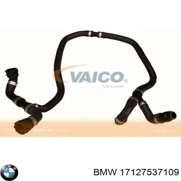 Przewód (króciec) chłodnicy górny BMW 17127537109 cena, od 68,05 USD