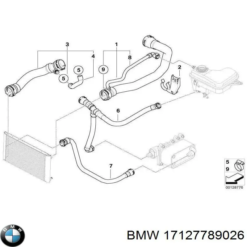 Przewód (króciec) chłodnicy górny BMW 17127789026 cena, od 162,52 USD