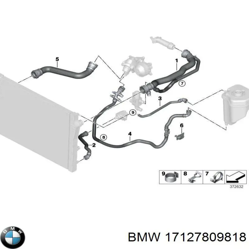Do koszyka 17127809818 BMW Przewód (króciec) chłodnicy górny