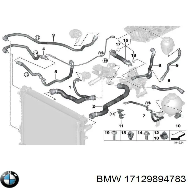 17129894783 BMW Przewód (króciec) chłodnicy dolny