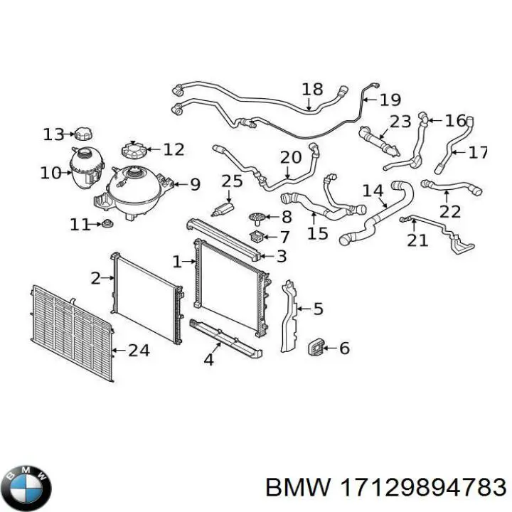 Przewód (króciec) chłodnicy dolny BMW 17129894783 cena, od 112,30 USD
